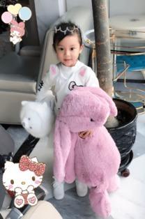 明星网红的玩具叫什么,明星同款玩具大揭秘