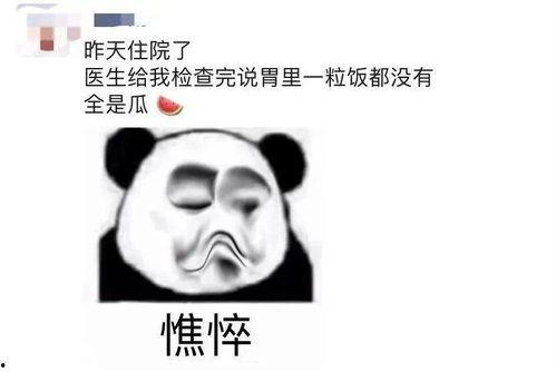 今日吃瓜每日大瓜下一句,探寻娱乐圈幕后真相