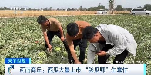 今日吃瓜热门事件社会新闻反差,吃瓜群众见证社会新闻反差大剧