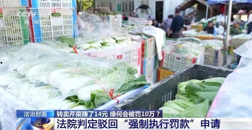 固始大别山市场今日瓜价,今日瓜价行情一览