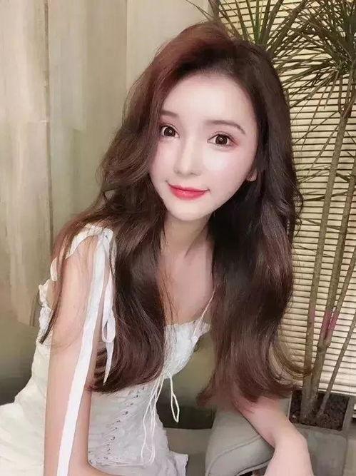 多地明星网红是谁,星光熠熠的社交圈概览