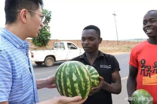 反差吃瓜黑料事件硬核,揭秘娱乐圈硬核黑料背后的真相