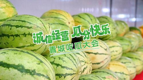 今日份快乐吃瓜,盘点娱乐圈新鲜趣事