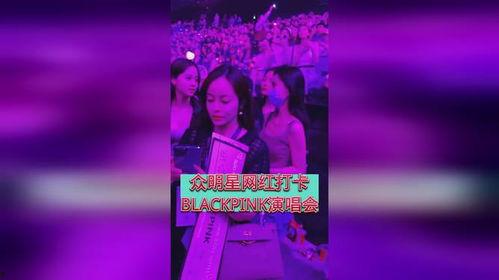 大型明星网红演唱会,大型明星网红演唱会盛况全纪录