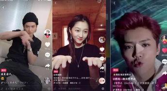 明星网红借钱视频大全最新,揭秘明星借款背后的真相与争议