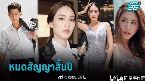 明星网红泰国是谁呀视频,揭秘“是谁呀”视频背后的魅力人物
