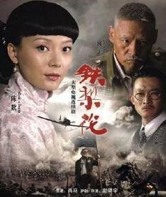 铁梨花电视剧全集,传奇女侠的江湖传奇