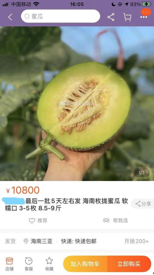 高碑店蜜瓜今日价格查询,品质甜蜜，价格亲民