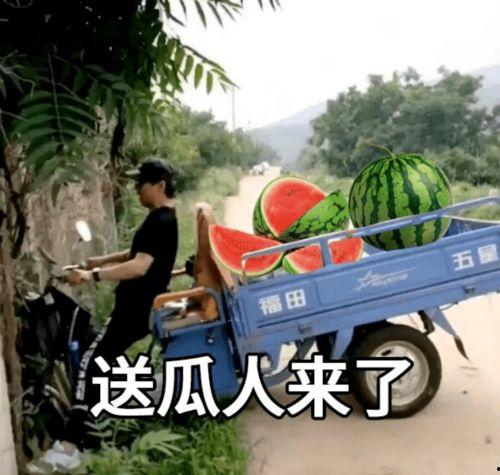 瓜哥今日文案最新,揭秘娱乐圈最新动态，带你领略幕后真相